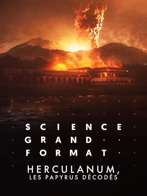 Poster for Herculanum, les papyrus décodés