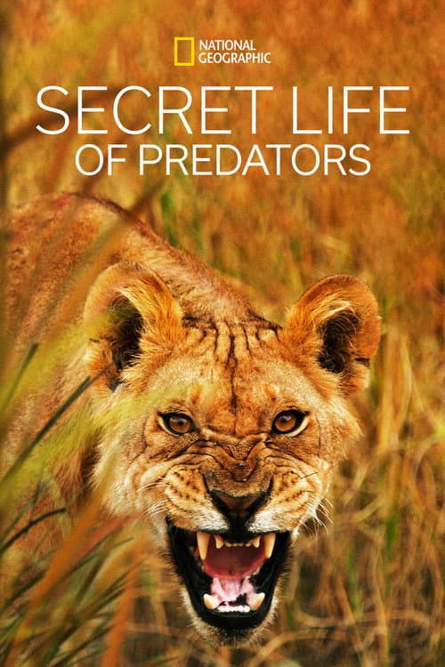 Poster for Secret Life of Predators