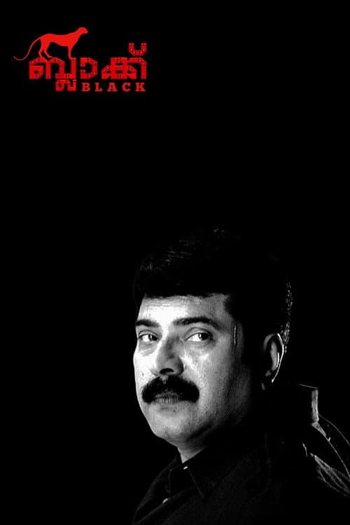 Poster for Black