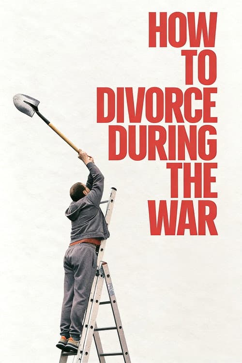 Poster for How to Divorce During the War