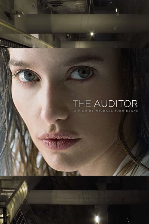 Poster for The Auditor