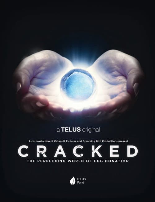 Poster for Cracked: The Perplexing World of Egg Donation