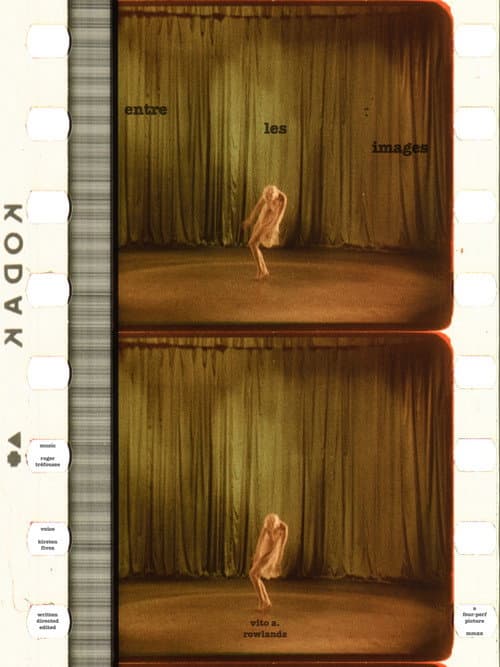 Poster for Entre les images