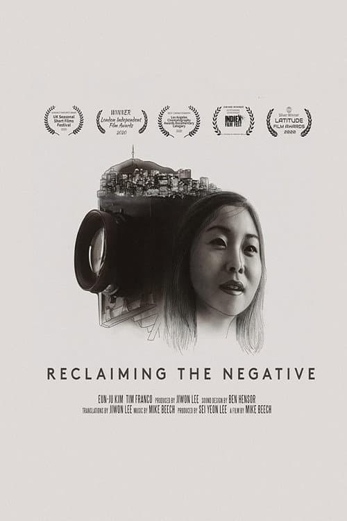 Poster for Reclaiming The Negative