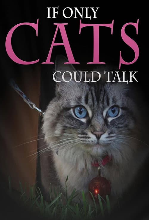 Poster for If Only Cats Could Talk