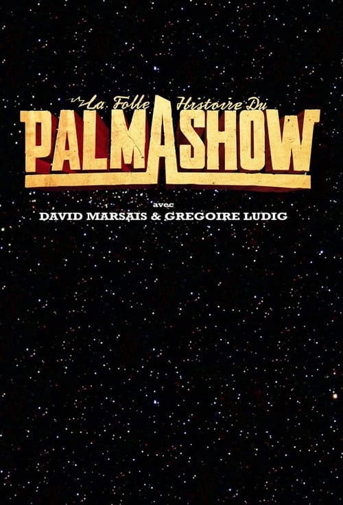 Poster for La Folle Histoire du Palmashow