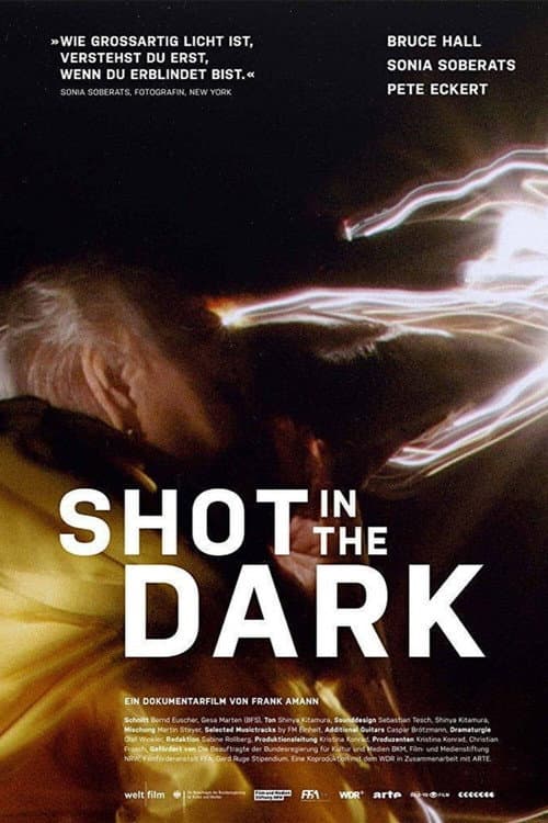 Poster for Shot in the Dark