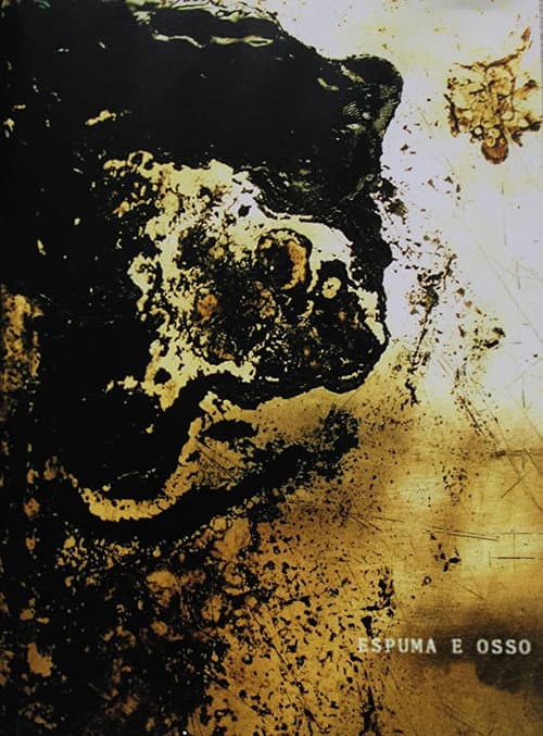Poster for Foam and Bone