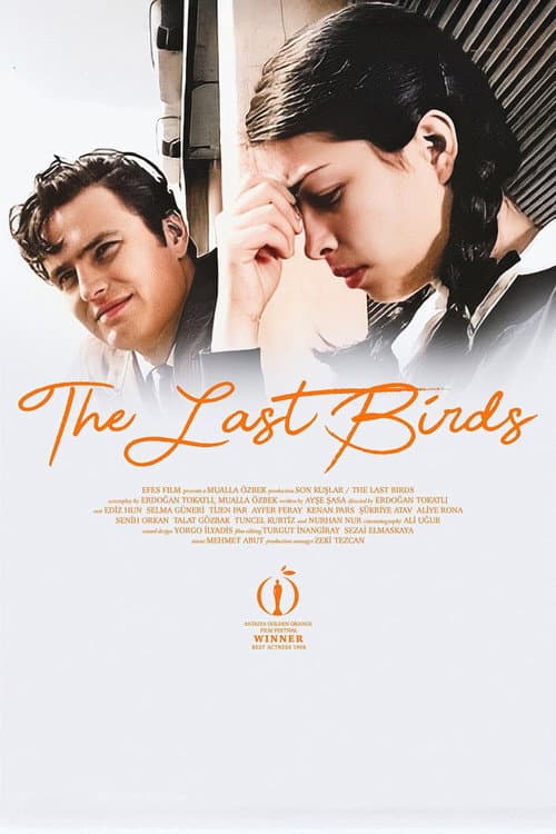 Poster for The Last Birds