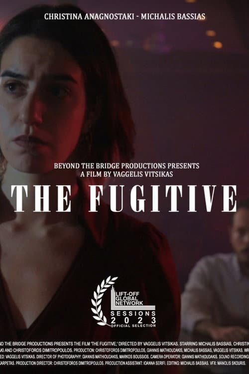Poster for The Fugitive