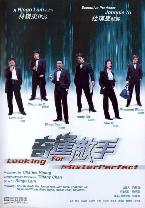 Poster for Looking for Mr. Perfect
