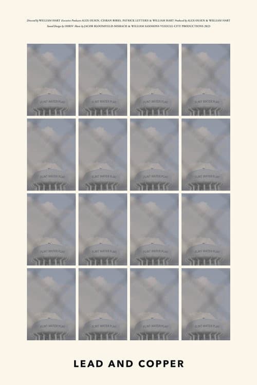 Poster for Lead and Copper