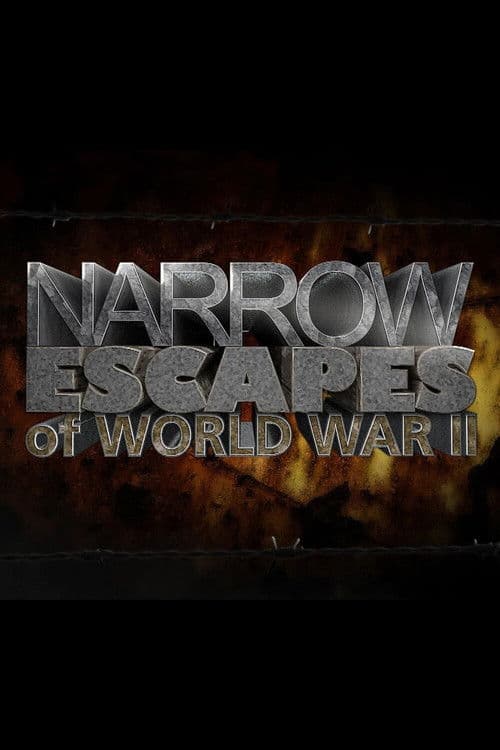 Poster for Narrow Escapes of WWII