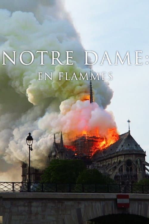 Poster for Pompiers de Paris : Sauver Notre-Dame