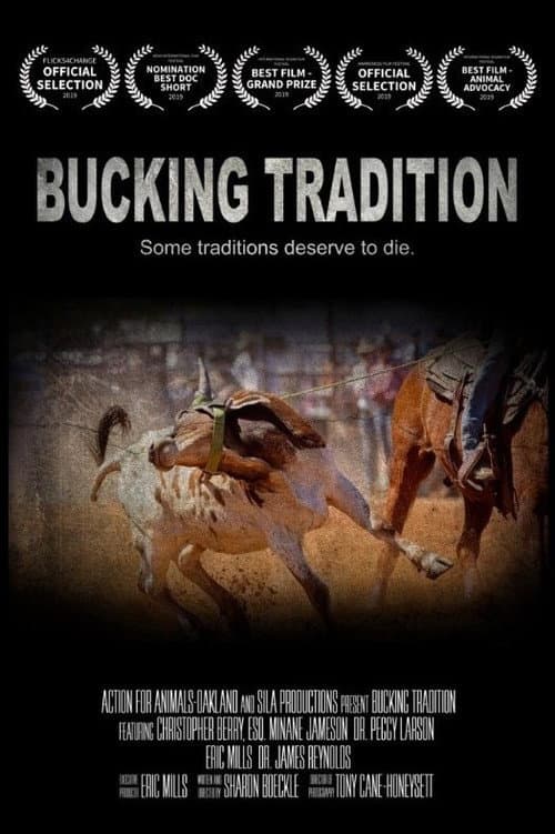 Poster for Bucking Tradition