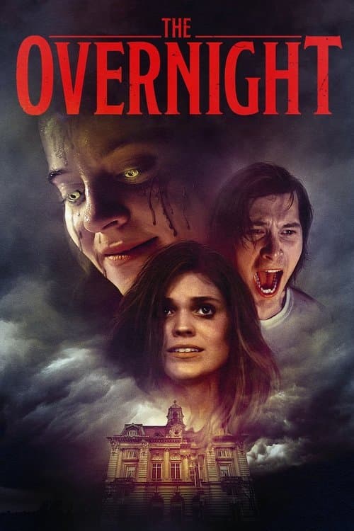 Poster for The Overnight