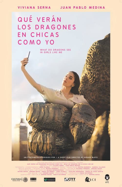 Poster for What Do Dragons See in a Girl Like Me?