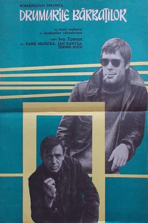 Poster for Cesty mužů