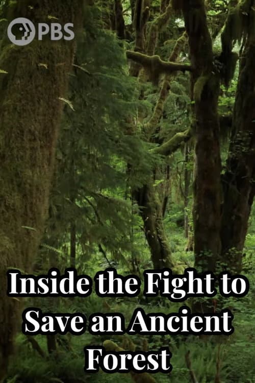 Poster for Inside the Fight to Save an Ancient Forest (and the Secrets it Holds)
