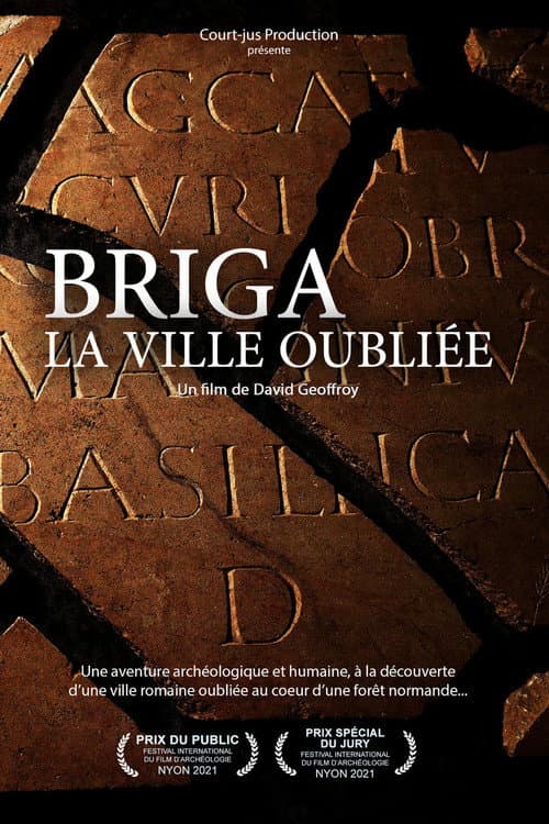 Poster for Briga, la ville oubliée