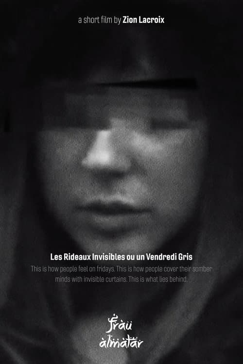 Poster for The Invisible Curtains or a Gray Friday