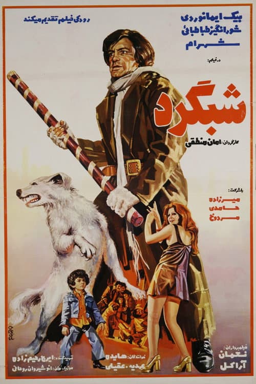 Poster for The Night-Prowler