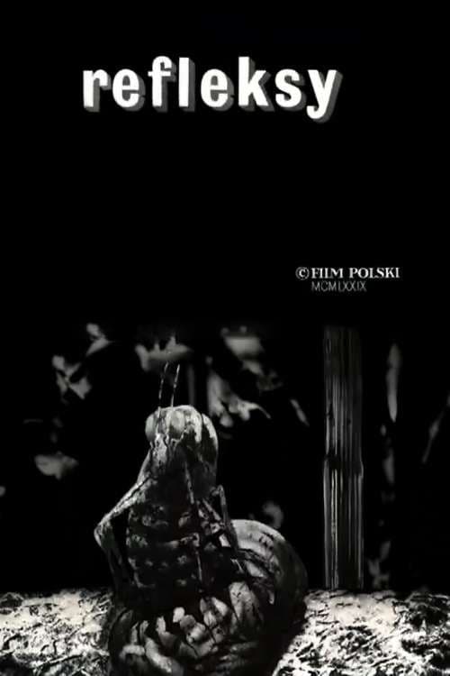 Poster for Reflections