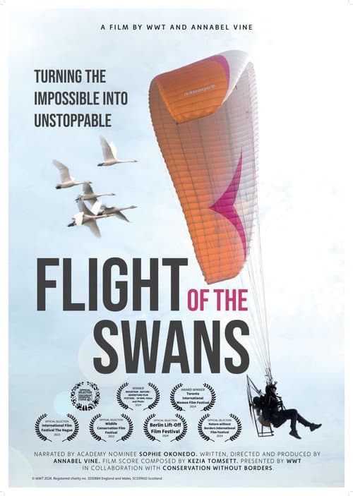 Poster for Flight of the Swans