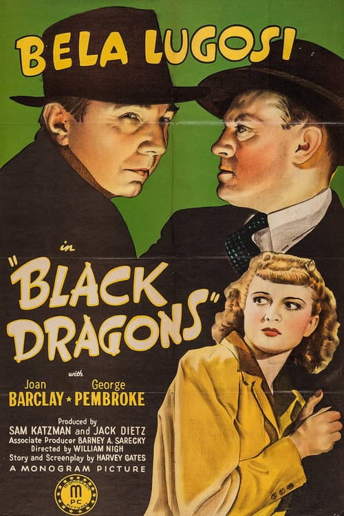 Poster for Black Dragons