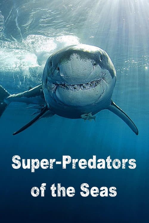 Poster for Genius sea hunters