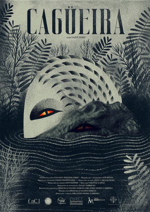 Poster for Cagüeira