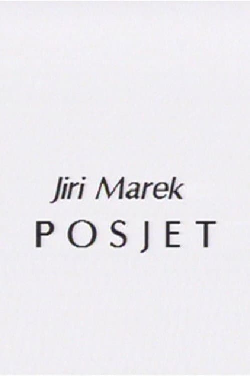 Poster for A Visit