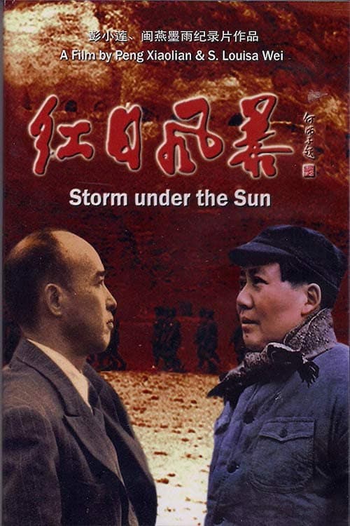Poster for Storm Under the Sun