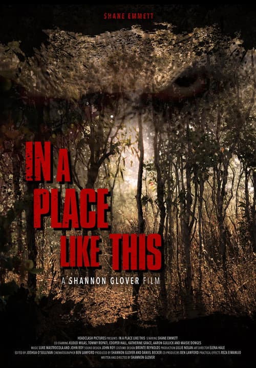 Poster for In A Place Like This