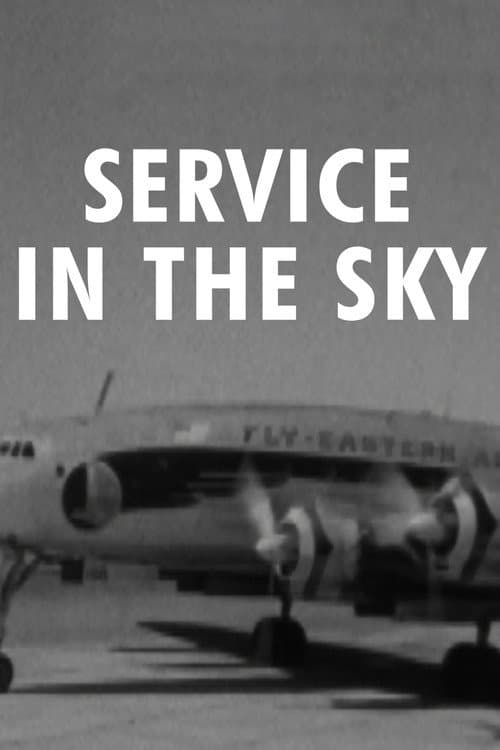 Постер до фільму «Eye Witness: Service in the Sky»