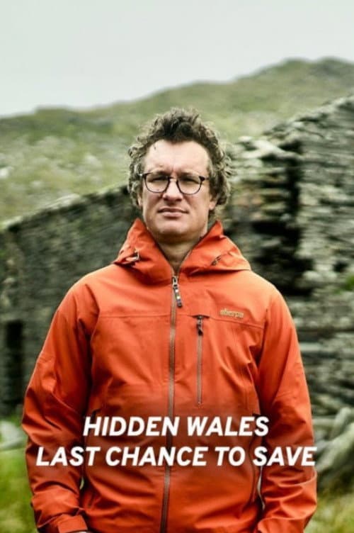 Poster for Hidden Wales: Last Chance to Save
