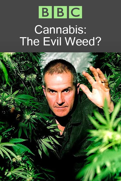Poster for Cannabis: The Evil Weed?
