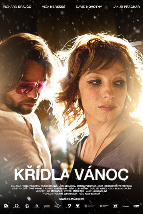 Poster for Wings of Christmas