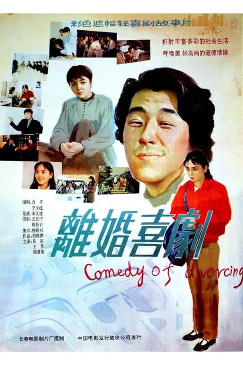 Poster for Comedy of Divorce