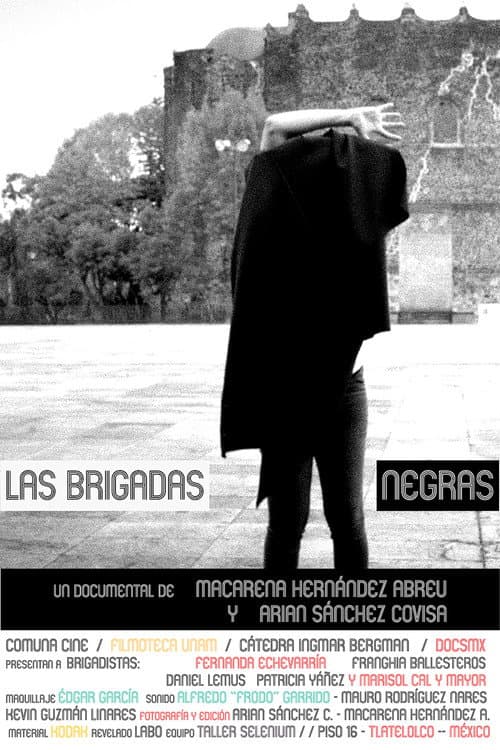 Poster for Black Brigades
