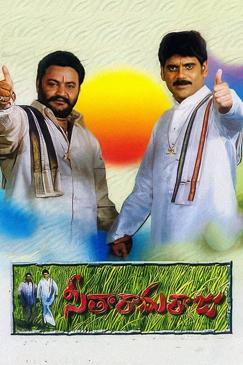 Poster for Seetharama Raju
