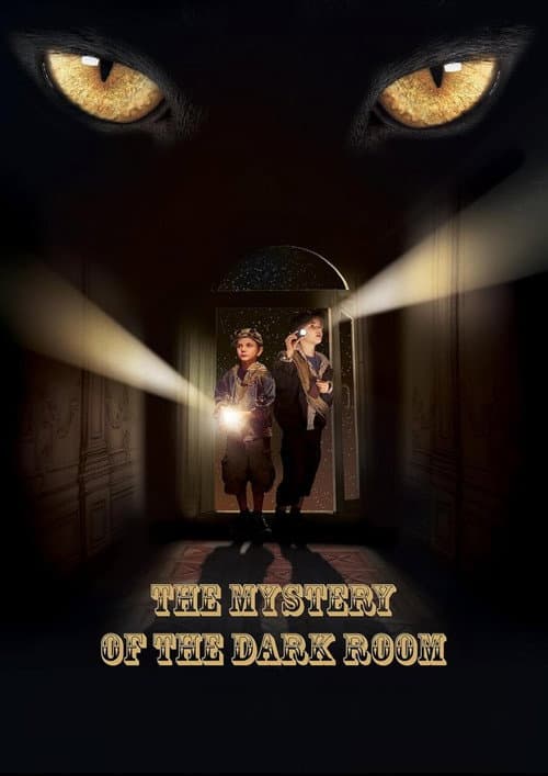 Poster for A Dark Room Mystery