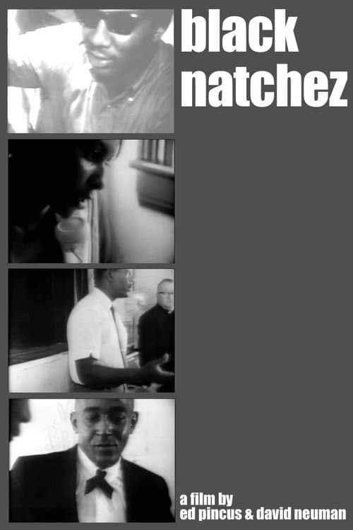 Poster for Black Natchez