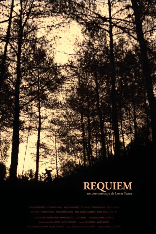 Poster for Requiem