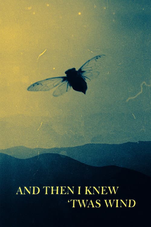 Poster for And Then I Knew 'Twas Wind