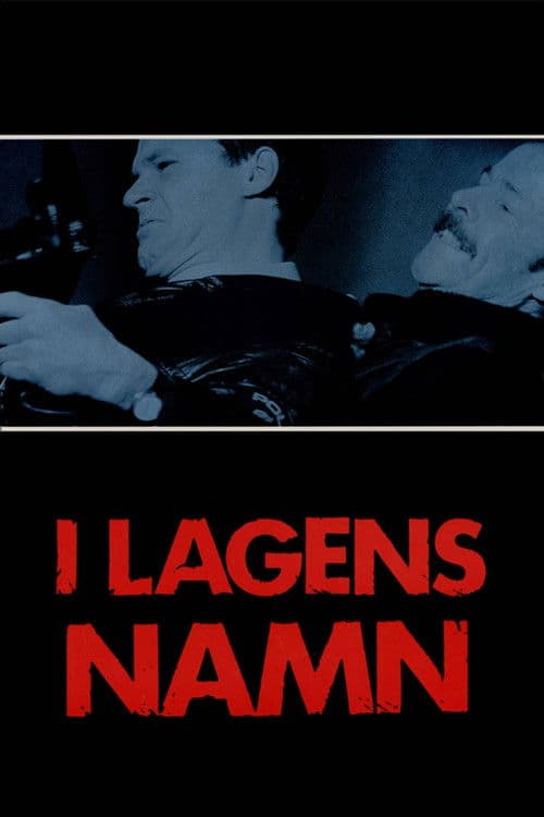 Poster for In the Name of the Law