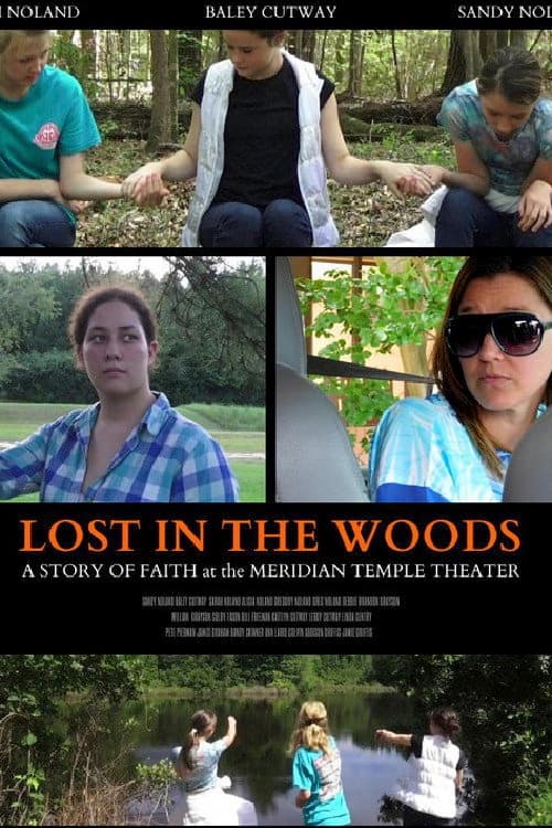 Poster for Lost in the Woods