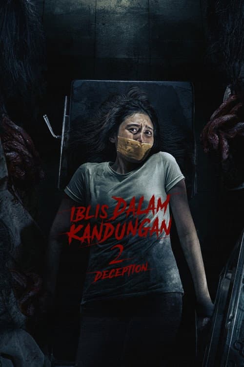 Poster for Devil in the Womb 2: Deception