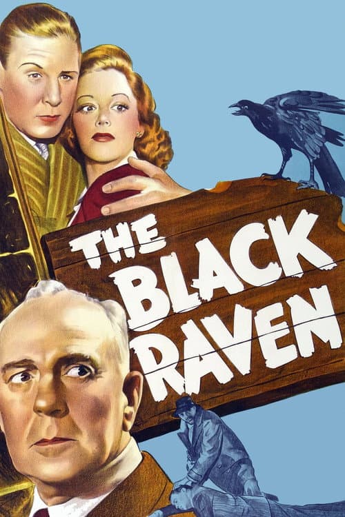 Poster for The Black Raven