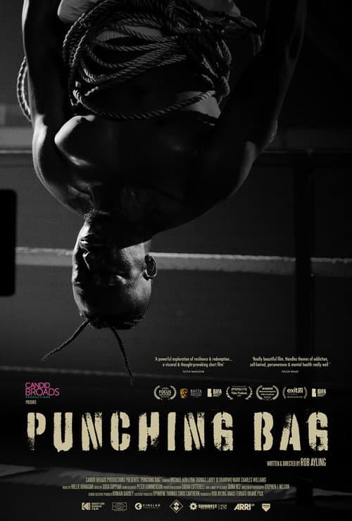 Poster for Punching Bag